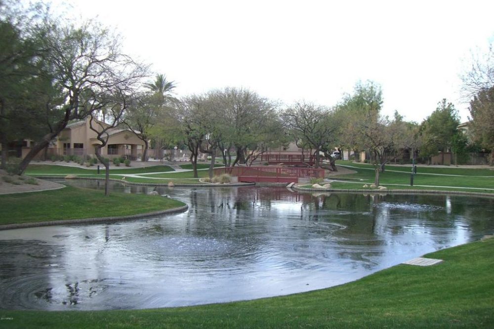 Community Pond