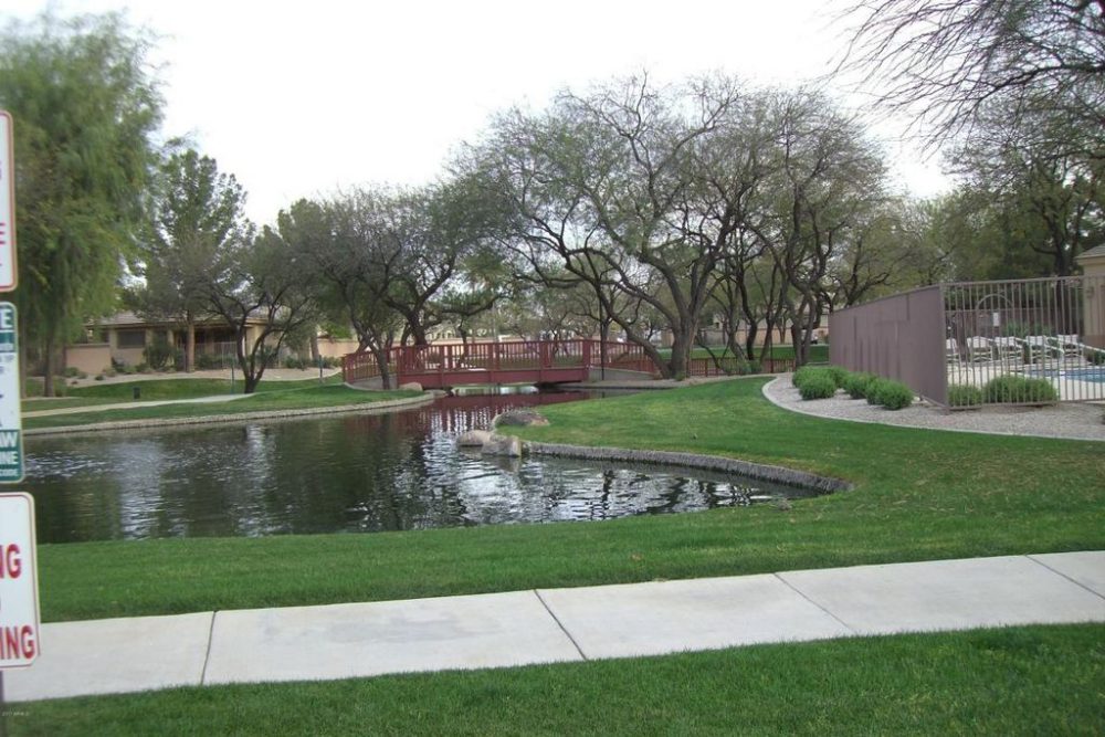 Community Pond 2